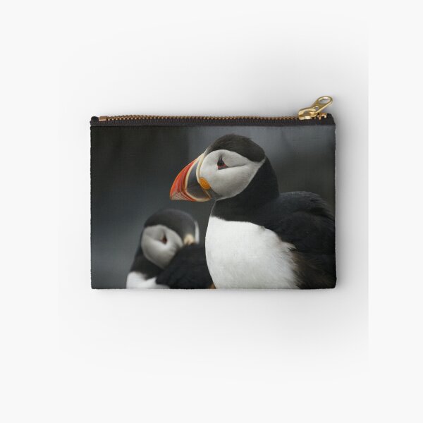 Item preview, Atlantic puffins at rest designed and sold by Jean Knowles.