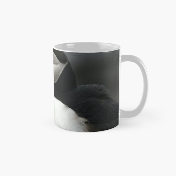 Item preview, Atlantic puffins at rest designed and sold by Jean Knowles.