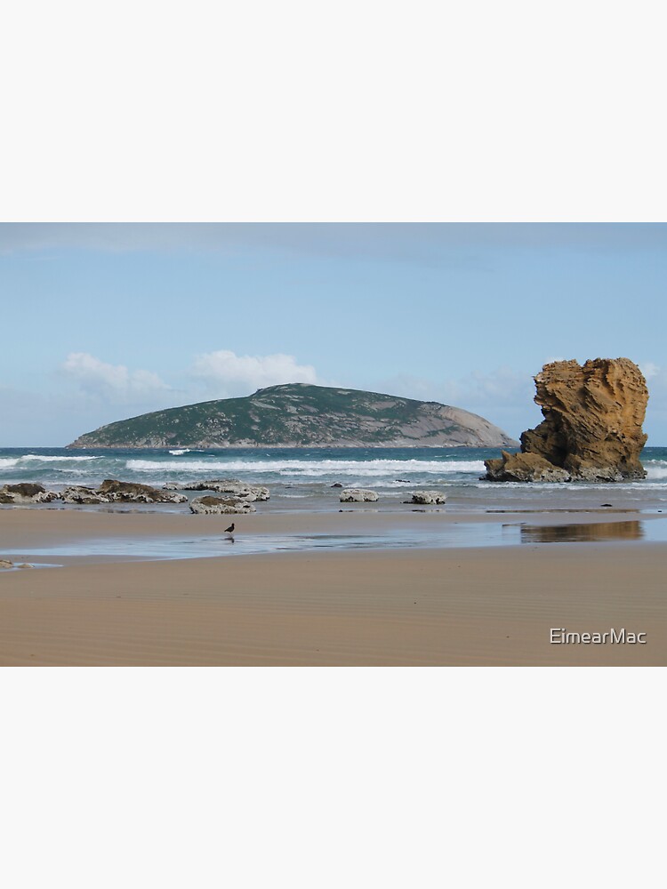 Shellback Island Rocky Beach Sticker For Sale By Eimearmac Redbubble