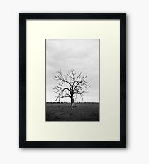 Elder Framed Print