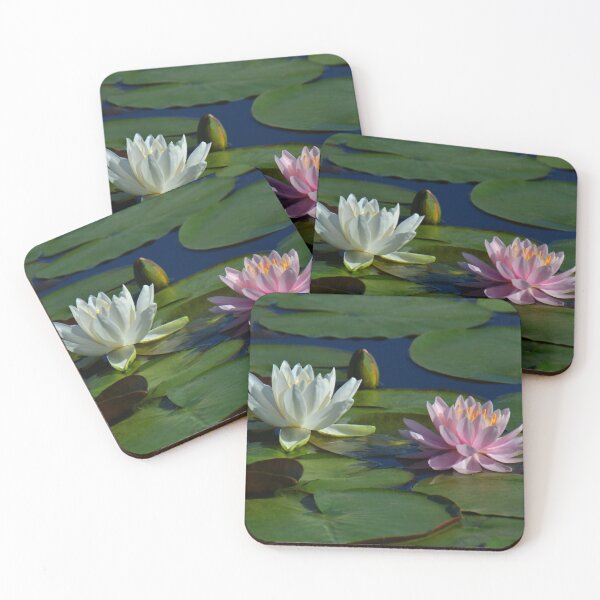 Item preview, The White & The Pink Water Lilies....friends forever!!! designed and sold by Poete100.