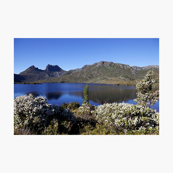 Item preview, Dove Lake and Cradle Mountain, Tassie designed and sold by Robert Stephens.