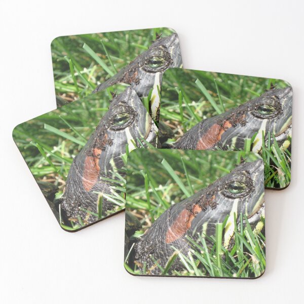 Item preview, Dinosaurs Among Us designed and sold by raizepeace.