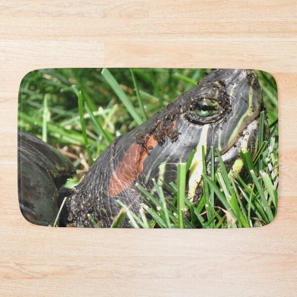 Item preview, Dinosaurs Among Us designed and sold by raizepeace.
