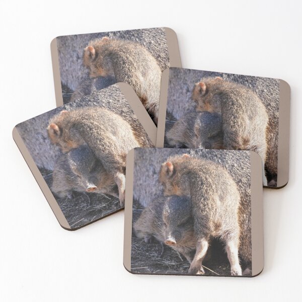 Item preview, A Baby Javelina Climbs On It's Sibling designed and sold by MomentofPercep.