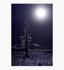 desolate moon Photographic Print