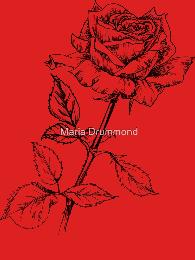 Rose by MariaDrummond