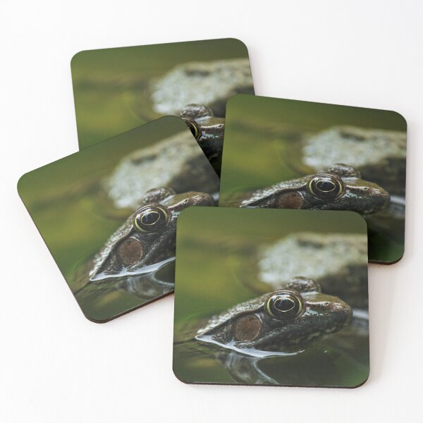 Item preview, Kiss the Frog designed and sold by c-zphotos.