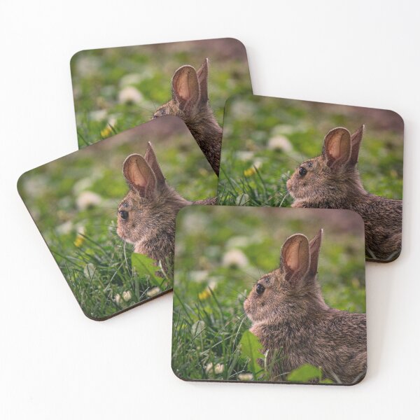 Item preview, Baby Summer Bunny designed and sold by c-zphotos.