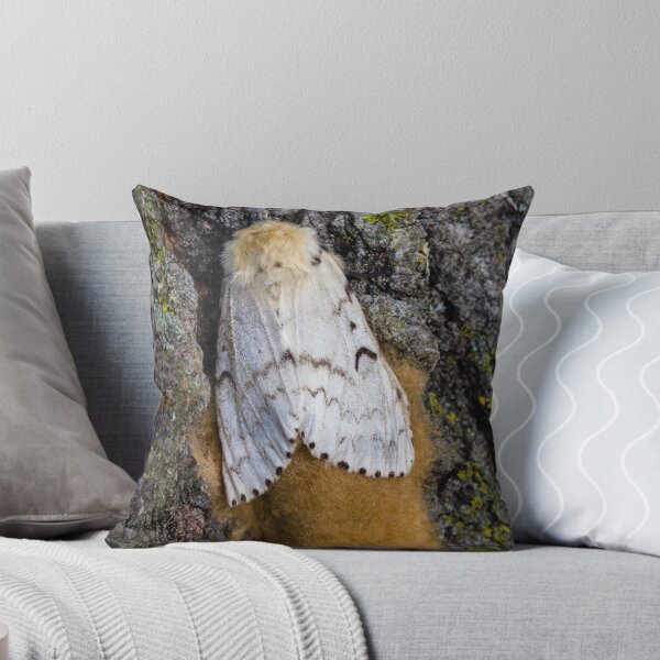 Item preview, Gypsy Moth Close-up 2 designed and sold by Robert Alsop.