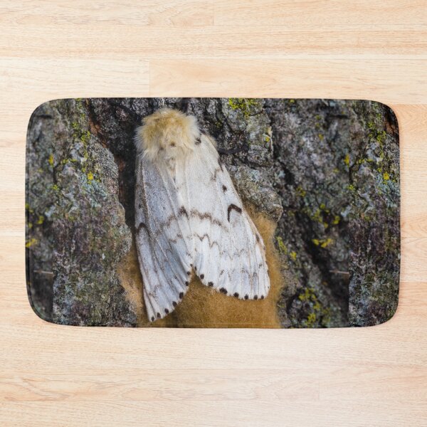 Item preview, Gypsy Moth Close-up 2 designed and sold by Robert Alsop.