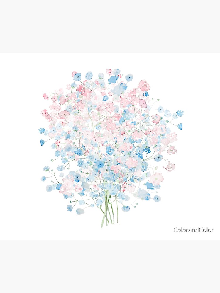 light pink and blue Baby Breath Bouquet gypsophila watercolor