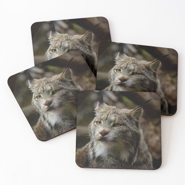 Item preview, Something Wild, Watching, Waiting designed and sold by c-zphotos.