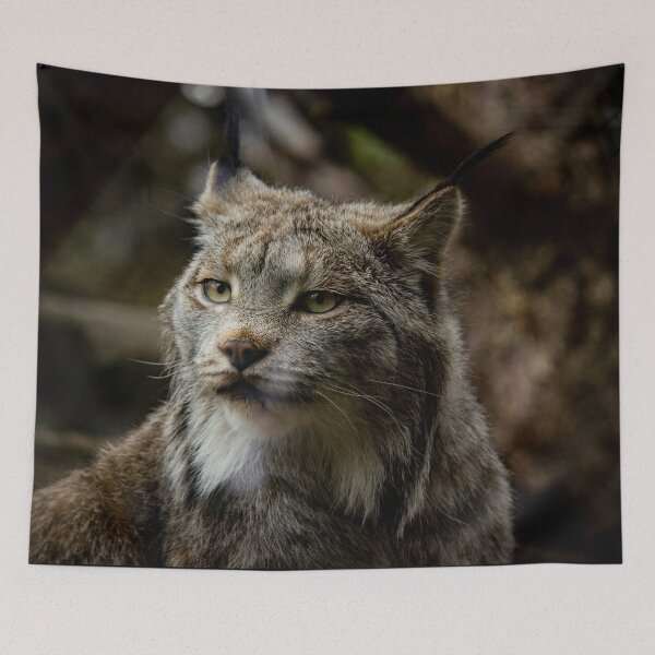 Item preview, Something Wild, Watching, Waiting designed and sold by c-zphotos.