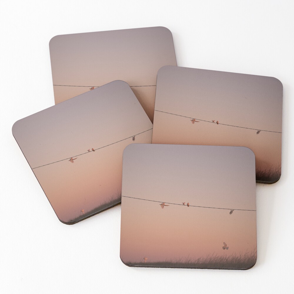 Item preview, Coasters (Set of 4) designed and sold by InNature.