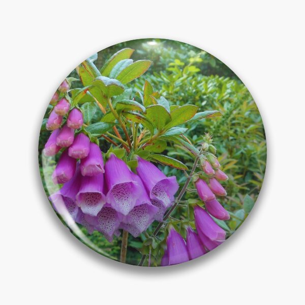 Item preview, Foxgloves Dreaming designed and sold by Kathryn Jones.