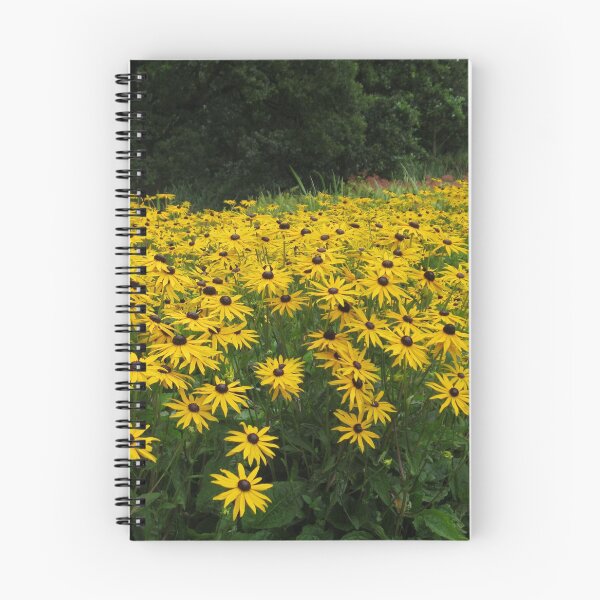 Item preview, Susans Galore! designed and sold by Kathryn Jones.