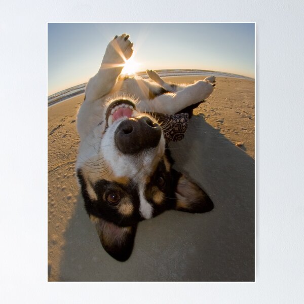Item preview, Fun with the Sun designed and sold by WorldDesign.