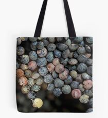 floating continent Tote Bag