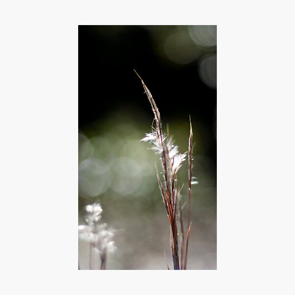Item preview, Grass designed and sold by MattBlanco.