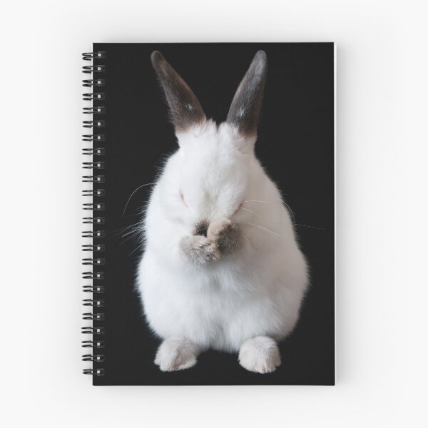 Item preview, Cute Grooming Bunny designed and sold by karem.