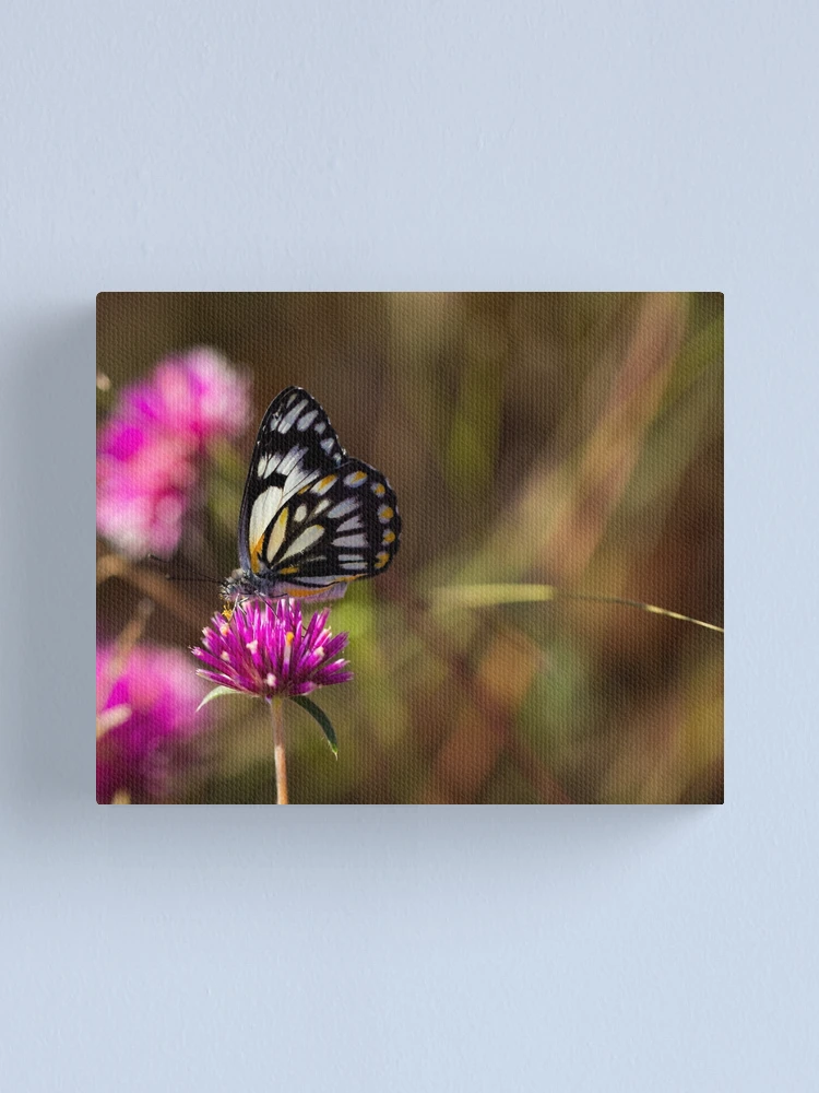Thumbnail 1 of 3, Canvas Print, fluttery designed and sold by InNature.
