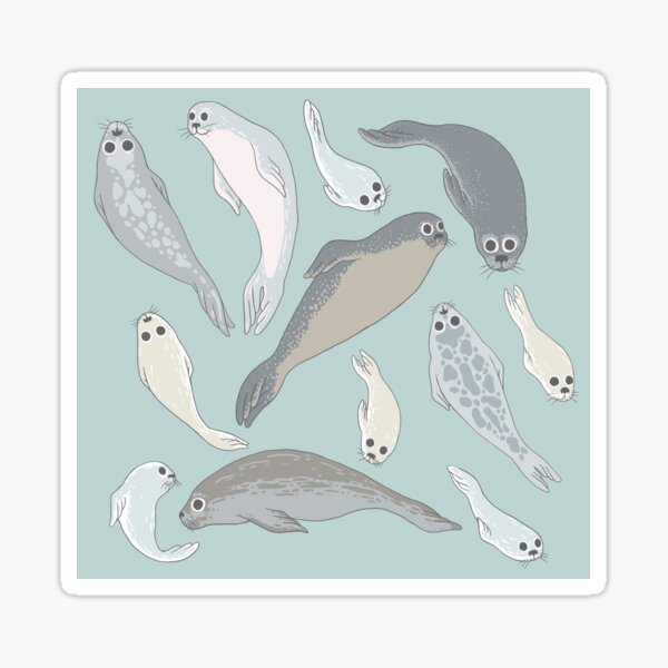 "Seals" Sticker by beesants Redbubble