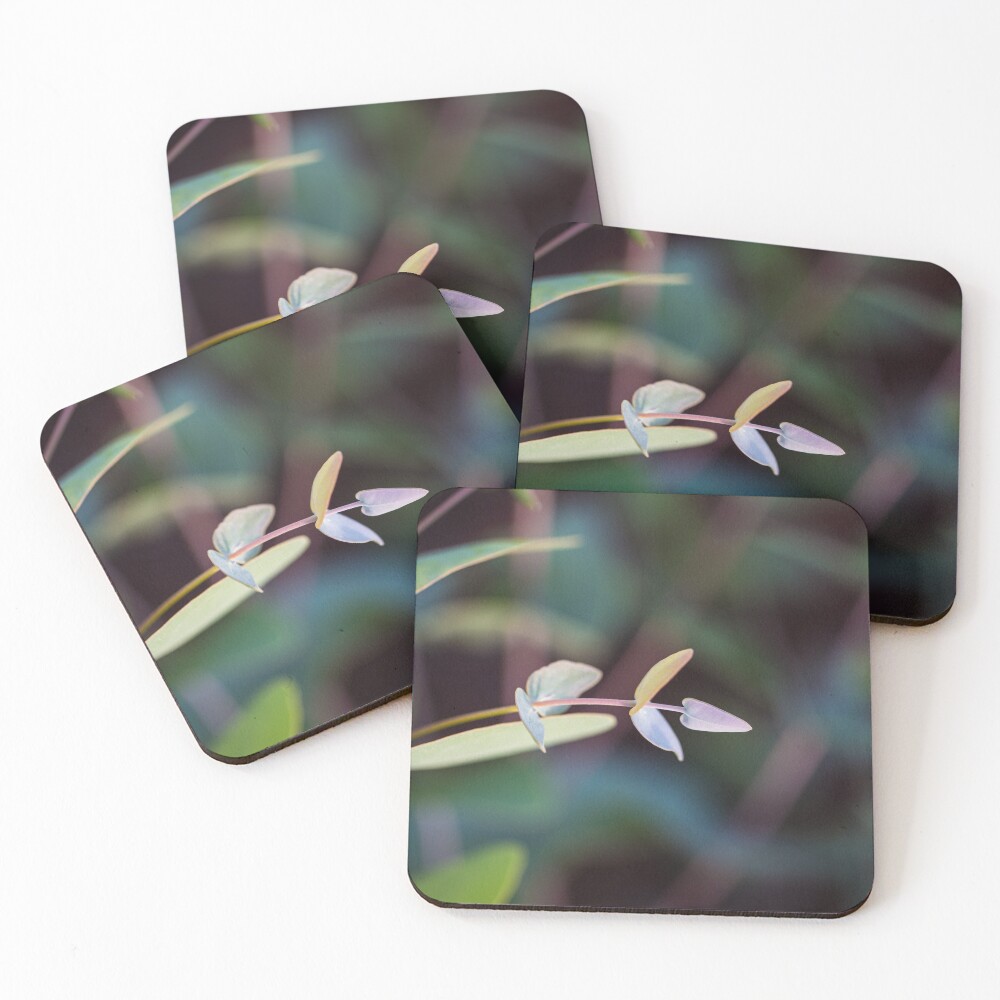 Item preview, Coasters (Set of 4) designed and sold by InNature.