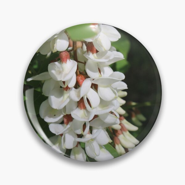 Item preview, Robinia flowers designed and sold by pveart.