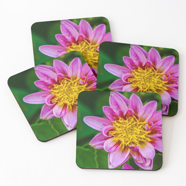 Item preview, Fuchsia petals and Yellow core Flower designed and sold by Eduardo Tavares.