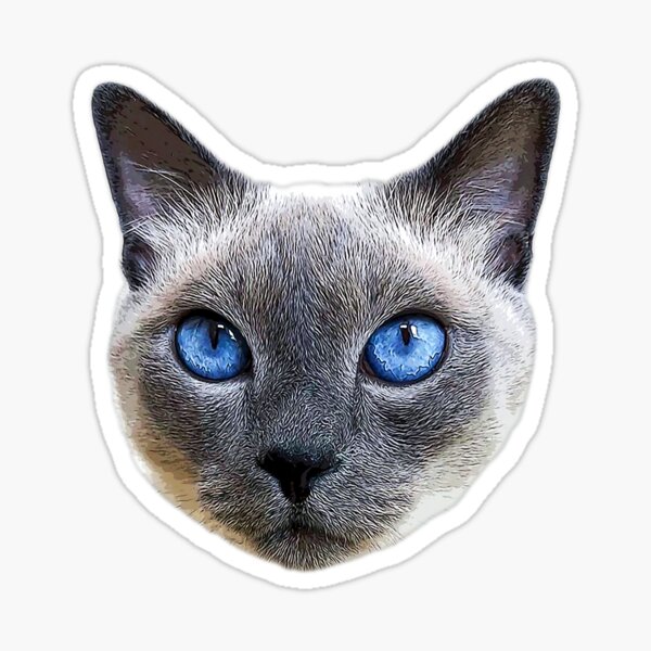 BOW DOWN TO ME SIAMESE BLUE EYED WAVE CAT ANIMAL PET STICKER 