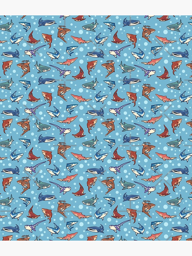 Sharks in the light blue by Colordrilos