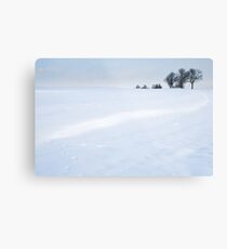 Winter Landscapes Metal Print