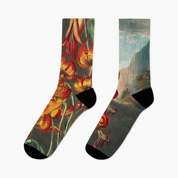 Item preview, Painting Art, Robert John Thornton Artist Paintings, The Superb Lily from The Temple of Flora designed and sold by SasyJamArt.