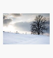 Winter Landscapes Photographic Print