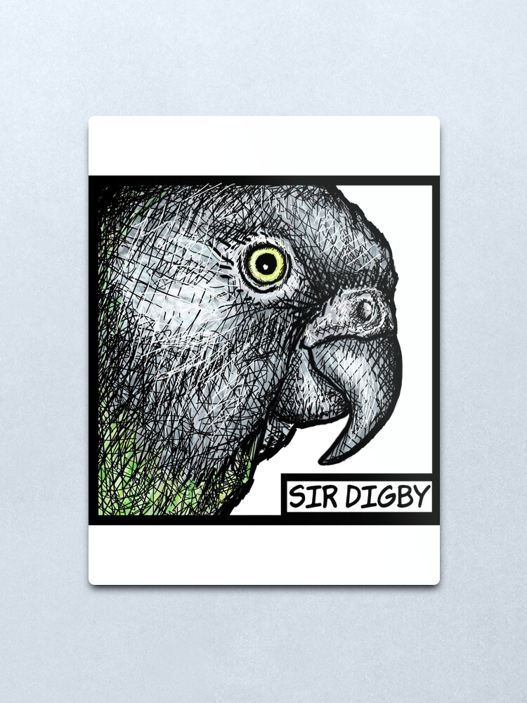 Alternate view of "Sir Digby, 2014" Metal Print