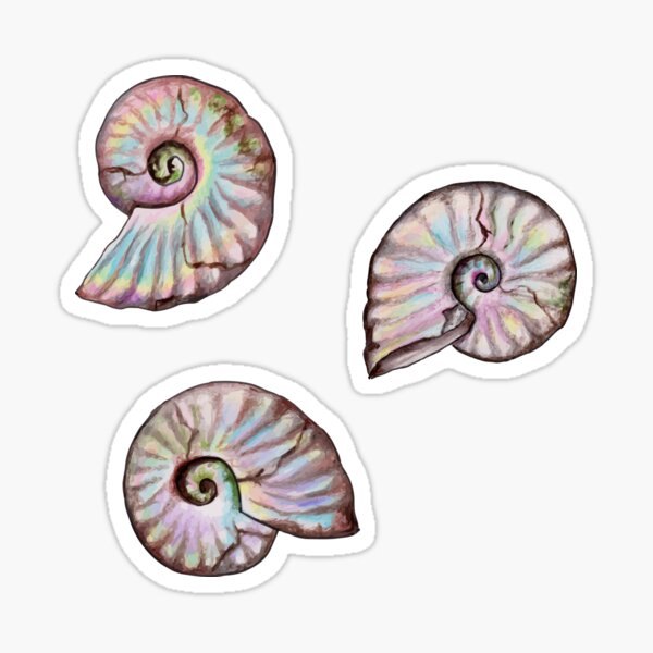 Iridescent Ammonites - Fossil Pattern Sticker