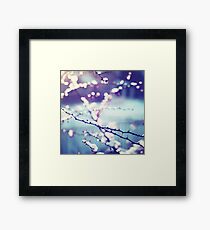 Flash Framed Print