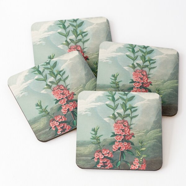 Item preview, Painting Art, Robert John Thornton Artist Paintings, The Narrow-Leaved Kalmia from The Temple of Flora designed and sold by SasyJamArt.