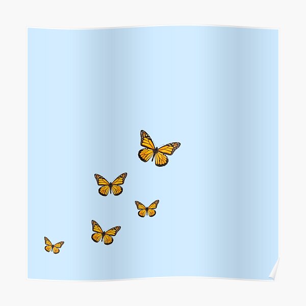 sky blue butterfly print Poster