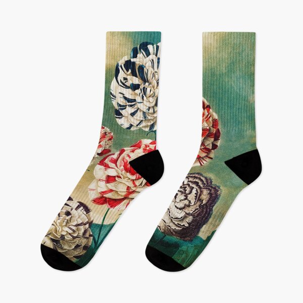 Item preview, Painting Art, Robert John Thornton Artist Paintings, A Group of Carnations from The Temple of Flora designed and sold by SasyJamArt.