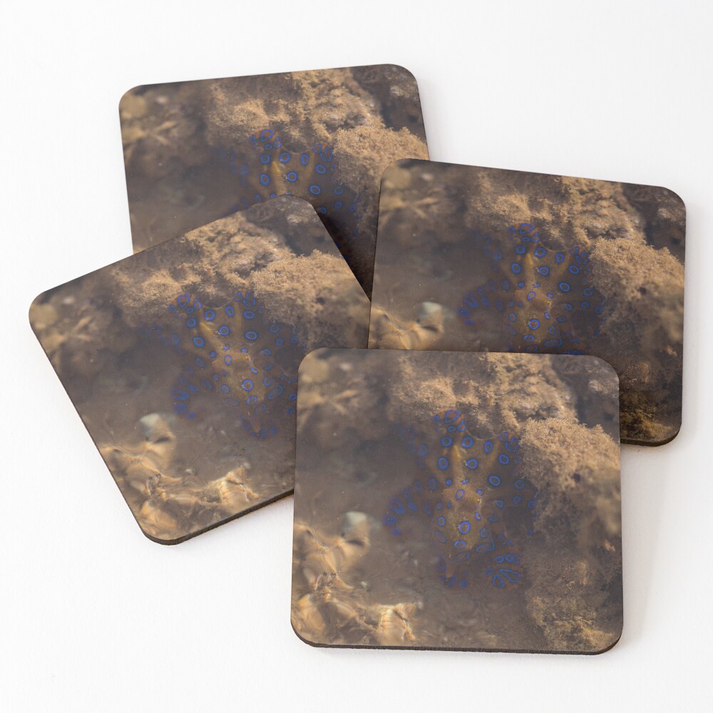Item preview, Coasters (Set of 4) designed and sold by InNature.