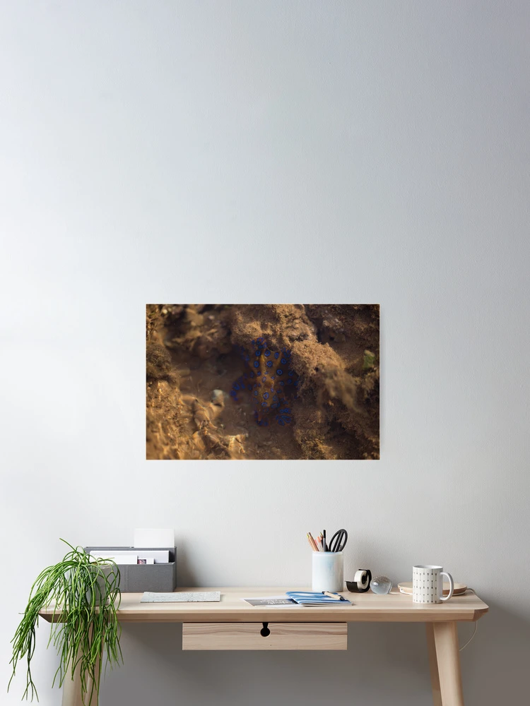 Thumbnail 2 of 3, Poster, SpottheBlue designed and sold by InNature.
