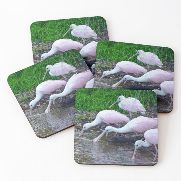 Item preview, Trio of Drinking Spoonbills designed and sold by richardbryce.
