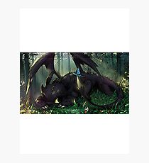 Toothless Mosaic Photographic Print