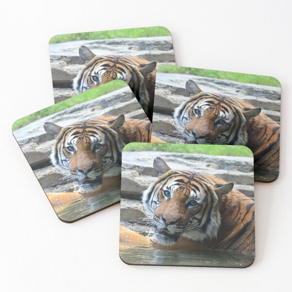 Item preview, Tiger Tiger Keeping Cool designed and sold by richardbryce.