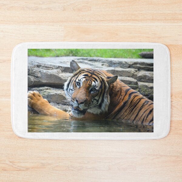 Item preview, Tiger Tiger Keeping Cool designed and sold by richardbryce.