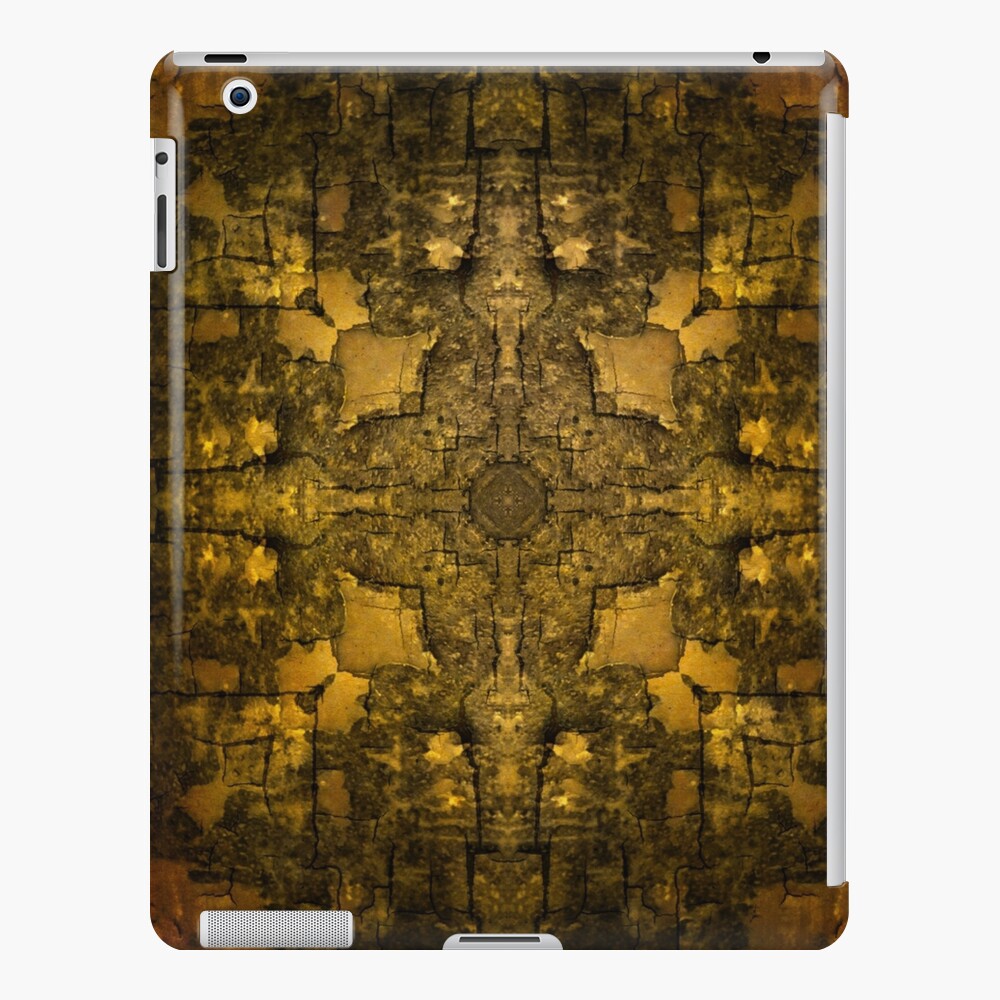 Gold Armour iPad Case & Skin