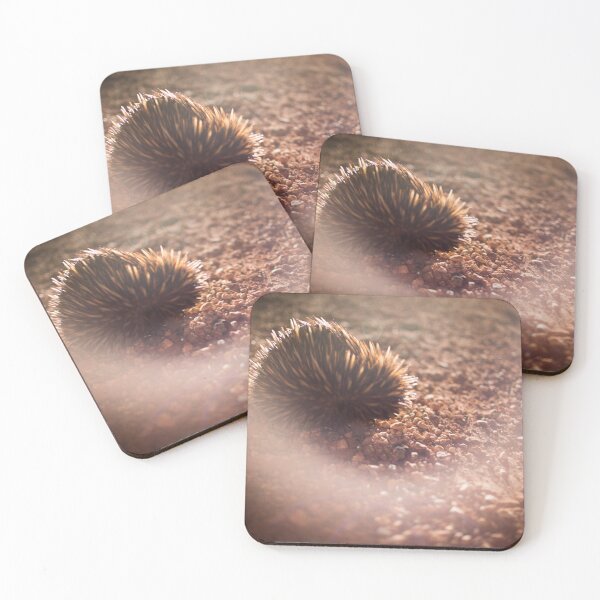 Item preview, Night Digs designed and sold by InNature.