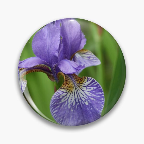 Item preview, Siberian iris 99 designed and sold by Jouko Lehto Photography.